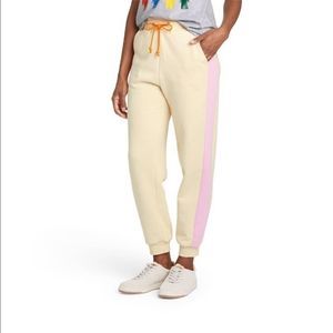Lego Collection x Target | Women’s Side Striped Joggers Pants
